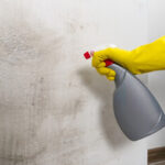 Mold Removal